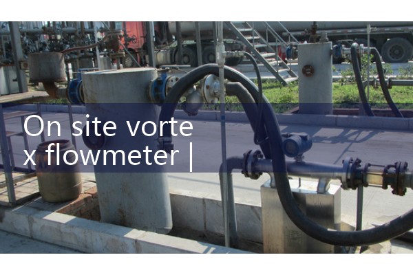 On site vortex flowmeter